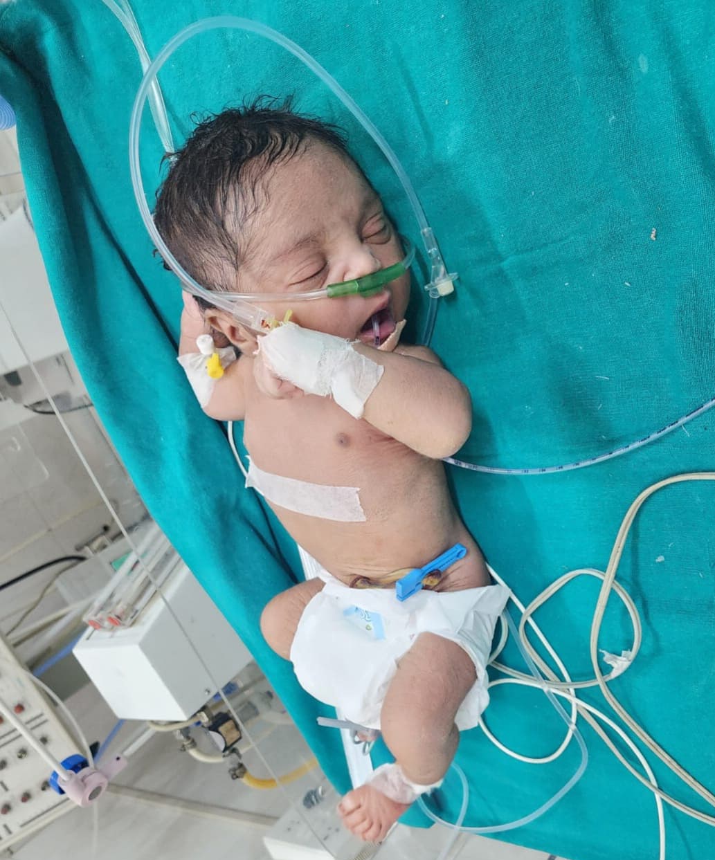 BabyOfNeelam2